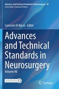 Advances And Technical Standards İn Neurosurgery: Volume 46 (Advances And Technical Standards İn Neurosurgery, 46, Band 46) Springer