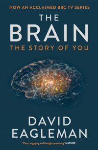 The Brain: The Story Of You Eagleman, David Penguin