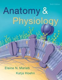 Anatomy & Physiology (6Th Edition) Marieb, Elaine N. Pearson