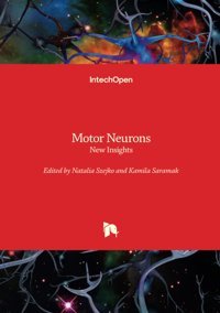 Motor Neurons New Insights Intechopen