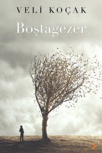 Boştagezer Veli Koçak Cinius Yayınları