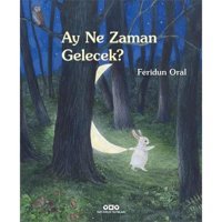 Ay Ne Zaman Gelecek? (Karton Kapak) Feridun Oral Yapı Kredi Yayınları
