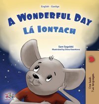 A Wonderful Day (English Irish Bilingual Children'S Book) (English Irish Bilingual Collection) Sagolski, Sam Kidkiddos Books Ltd.