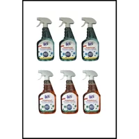 Green Car Wash Antibakteriyel Çok Amaçlı Temizleyici 6x750 ml
