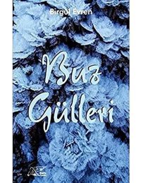 Buz Gülleri Birgül Evren Kuytu Yayınları
