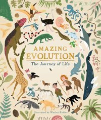 Amazing Evolution: The Journey Of Life Anna Claybourne Bloomsbury
