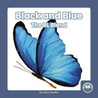 Black And Blue (On It, Phonics! Consonant Blends) Connor Stratton North Star Editions