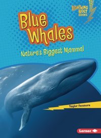 Blue Whales: Nature'S Biggest Mammal (Lightning Bolt Books Nature'S Most Massive Animals) Fenmore, Taylor Lerner Publications Co ,U.S.