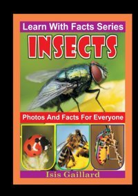Insects Photos And Facts For Everyone: Animals İn Nature Gaillard, Isis Learn Wıth Facts