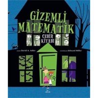 Gizemli Matematik: Cebir Kitabı David A. Adler Doruk Yayınları