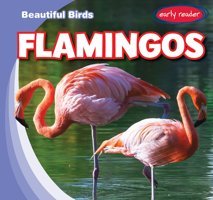 Flamingos (Beautiful Birds) Jacobson, Bray Gareth Stevens