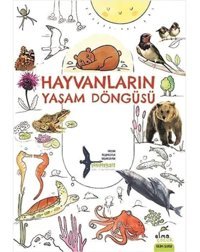 Hayvanların Yaşam Döngüsü Takımyıldız Elma Yayınevi
