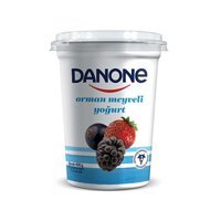 Danone Meyveli Kaymaksız Yoğurt 400 gr