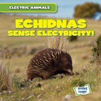 Echidnas Sense Electricity! (Electric Animals) Mallory, Louis Gareth Stevens
