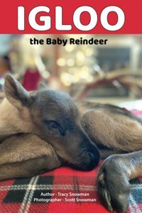 Igloo The Baby Reindeer Snowman, Tracy L