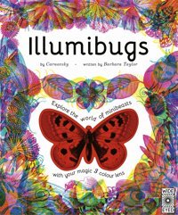 Illumibugs: Explore The World Of Mini Beasts With Your Magic 3 Colour Lens Taylor, Barbara Wide Eyed Editions