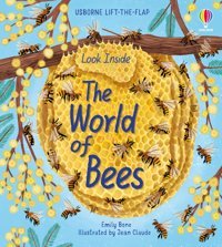 Look Inside The World Of Bees Bone, Emily Usborne Publishing Books Ltd