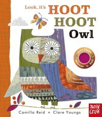 Look, It'S Hoot Hoot Owl Reid, Camilla Nosy Crow