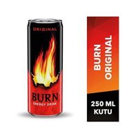 Burn Enerji İçeceği 250 ml