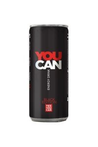 You Enerji İçeceği 250 ml