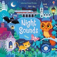 Night Sounds (Sound Books) Taplin, Sam Usborne