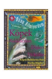 Köpek Balıklarının Dişleri Dökülür - Bunu Bilmiyordum - Köpek Balıklarına Dair Harika Bilgiler! Flowerpot Press Teleskop Popüler Bilim
