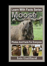 Moose Photos And Facts For Everyone: Animals İn Nature (Learn With Facts Series) Gaillard, Isis Learn Wıth Facts