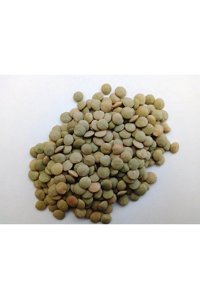 Kargı Yöresel Ürün Pazarı Yeşil Mercimek 5 kg