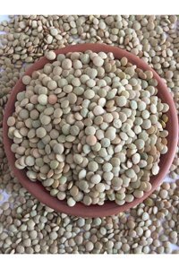 Kesire Ata Tohum Yeşil Mercimek 1 kg
