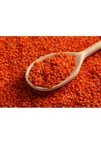 Ege Pazarından Kırmızı Mercimek 1 kg