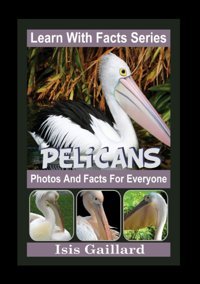 Pelicans Photos And Facts For Everyone: Animals İn Nature (Learn With Facts Series) Gaillard, Isis Learn Wıth Facts