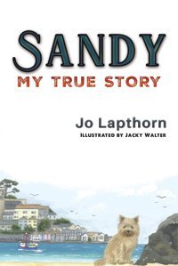 Sandy: My True Story Lapthorn, Jo Austin Macauley Publishers Ltd