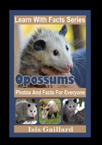 Opossums Photos And Facts For Everyone: Animals İn Nature (Learn With Facts Series) Gaillard, Isis Learn Wıth Facts