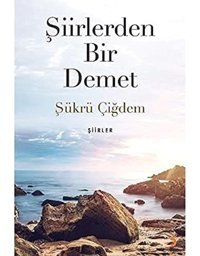 Şiirlerden Bir Demet Şükrü Çiğdem Cinius Yayınları