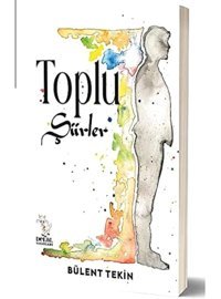Toplu Şiirler Bülent Tekin Delal Yayınları