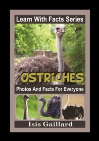 Ostriches Photos And Facts For Everyone: Animals İn Nature Gaillard, Isis Learn Wıth Facts