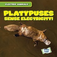 Platypuses Sense Electricity! (Electric Animals) Mallory, Louis Gareth Stevens
