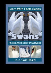 Swans Photos And Facts For Everyone: Animals İn Nature (Learn With Facts Series) Gaillard, Isis Learn Wıth Facts