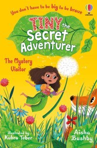 Tiny The Secret Adventurer: The Mystery Visitor Bushby, Aisha Usborne