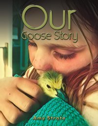 Our Goose Story Strate, Amy Austin Macauley Publishers Ltd