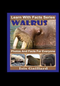 Walrus Photos And Facts For Everyone: Animals İn Nature (Learn With Facts Series) Gaillard, Isis Learn Wıth Facts