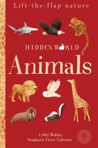 Walden, L: Hidden World: Animals Libby Walden Penguin