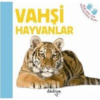 Vahşi Hayvanlar Katie Hewat Beta Kids