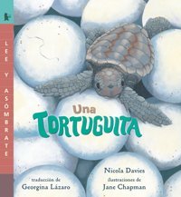 Una Tortuguita (Read And Wonder) Davies, Nicola Candlewick Entertainment