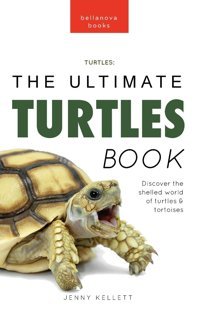 Turtles The Ultimate Turtles Book: Discover The Shelled World Of Turtles & Tortoises (Animal Books For Kids, Band 36) Kellett, Jenny Bellanova Books