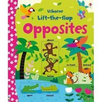 Usb - Lift-The-Flap Opposites Felicity Brooks Usborne Publishing Books Ltd