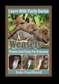 Weasels Photos And Facts For Everyone: Animals İn Nature (Learn With Facts Series) Gaillard, Isis Learn Wıth Facts