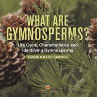 What Are Gymnosperms? Life Cycle, Characteristics And Identifying Gymnosperms Grade 6-8 Life Science Baby Professor Baby Professor
