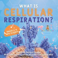 What İs Cellular Respiration? Process, Products And Reactants Of Cellular Respiration Explained Grade 6-8 Life Science Baby Professor Baby Professor