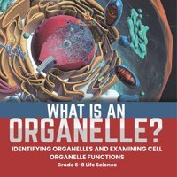 What İs An Organelle? Identifying Organelles And Examining Cell Organelle Functions Grade 6-8 Life Science Baby Professor Baby Professor